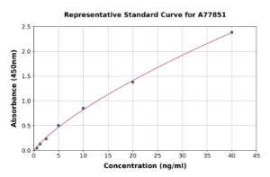 Representative standard curve for Human CD74 ELISA kit (A77851)