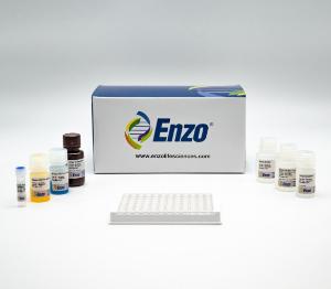 6-keto-PGF1α ELISA kit