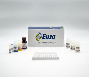 17β-Estradiol ELISA kit