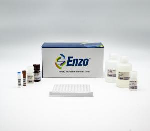 Endothelin-1 ELISA kit