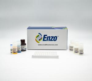 DHEA ELISA kit