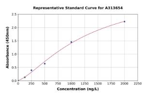 Representative standard curve for human CacyBP ELISA kit (A313654)