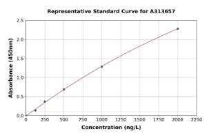 Representative standard curve for human cGKII ELISA kit (A313657)