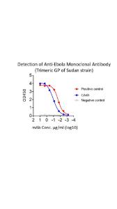 Functional binding test using antibodies to variant of Sudan strain