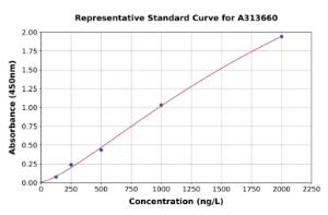 Representative standard curve for human ALDH5A1/SSADH ELISA kit (A313660)