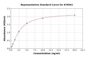 Representative standard curve for Rat GRP78 BiP ELISA kit (A79441)