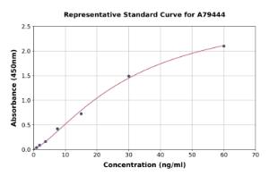 Representative standard curve for Rat EPF ELISA kit (A79444)