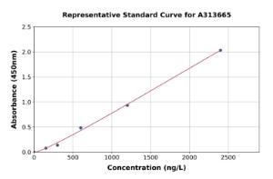 Representative standard curve for human Superoxide Dismutase 4/CCS ELISA kit (A313665)