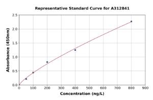 Representative standard curve for Human IL-24 ELISA kit (A312841)