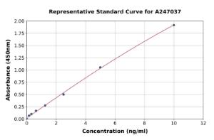Representative standard curve for Human GilZ/TilZ ELISA kit (A247037)