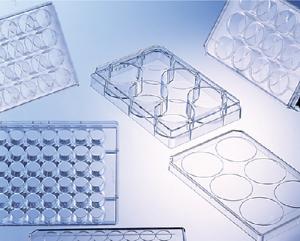 CELLSTAR® Cell Culture Multiwell Plates