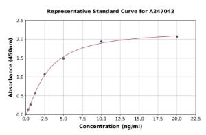 Representative standard curve for Human CHSS2 ELISA kit (A247042)