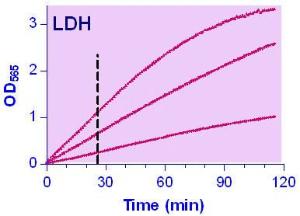 QuantiChrom™ Lactate Dehydrogenase Kit