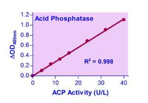 QuantiChrom™ Acid Phosphatase Assay Kit