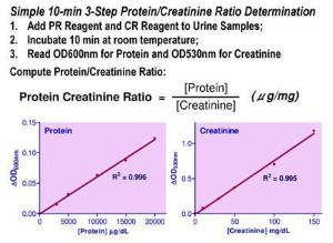QuantiChrom™ Protein Creatinine Ratio Assay Kit