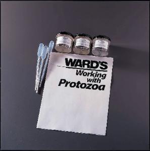 Ward's® Preying Protist Study Set