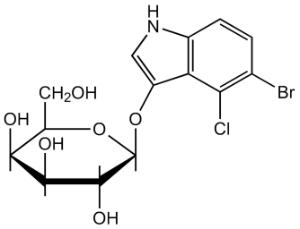X-Gal (5-bromo-4-chloro-3-indolyl-ß-D-galactopyranoside) 98+%