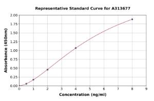 Representative standard curve for human PPM1D/WIP1 ELISA kit (A313677)