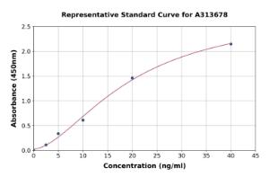 Representative standard curve for human Ornithine Decarboxylase/ODC ELISA kit (A313678)