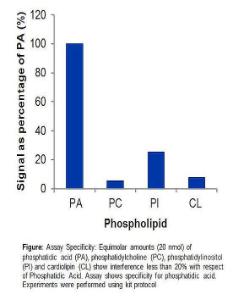 Phosphatidic Acid Assay Kit