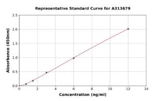 Representative standard curve for mouse Dkk3 ELISA kit (A313679)