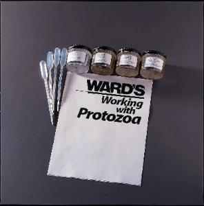 Ward's® Live Ameoboid Set