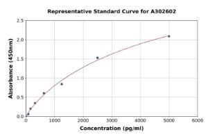 Representative standard curve for Guinea Pig Complement C5a ELISA kit (A302602)