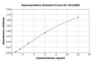 Representative standard curve for human SEPT7 ELISA kit (A313680)