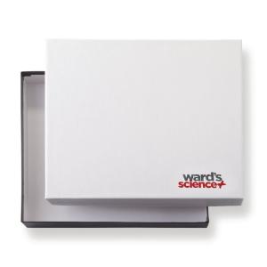 Ward's® Slide Boxes