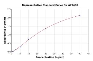 Representative standard curve for Human IgE ELISA kit (A79460)