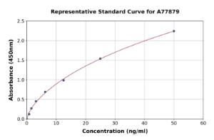 Representative standard curve for Mouse Choline Acetyltransferase ELISA kit (A77879)