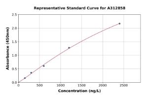 Representative standard curve for Human SPX ELISA kit (A312858)