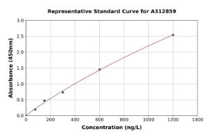 Representative standard curve for Human GRK2 ELISA kit (A312859)