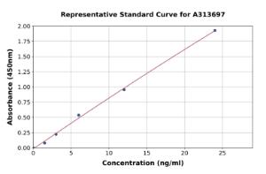 Representative standard curve for human IL-2RG ELISA kit (A313697)