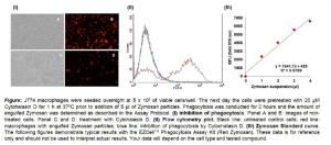 EZCell™ Phagocytosis Assay Kit (Red Zymosan), BioVision