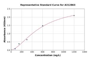 Representative standard curve for Human ID4 ELISA kit (A312863)