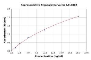 Representative standard curve for Human ErbB2 / HER2 ELISA kit (A310802)