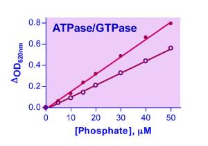 QuantiChrom™ ATPase Assay Kit, BioAssay Systems