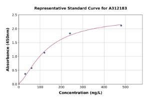 Representative standard curve for Mouse p75 NGF Receptor ELISA kit (A312183)