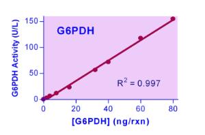 QuantiChrom™ Glucose-6-Phosphate Dehydrogenase Kit, BioAssay Systems