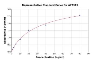 Representative standard curve for Human SFRP2 ELISA kit (A77313)