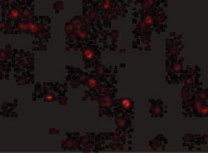Immunofluorescence of MDA5 in Human Lymph Node cells with MDA5 antibody at 20 µg/ml.