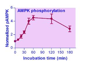 EnzyFluo™ AMPK Phosphorylation Assay Kit, BioAssay Systems