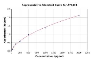 Representative standard curve for Rat IL-18 ELISA kit (A79474)