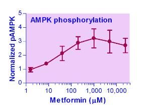 EnzyFluo™ AMPK Phosphorylation Assay Kit, BioAssay Systems