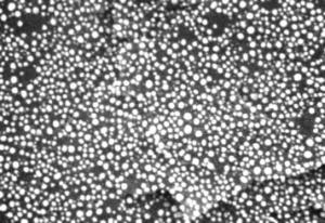 Very High Resolution Gold (&#60; 2nm - 30 nm) on Carbon Test, Electron Microscopy Sciences
