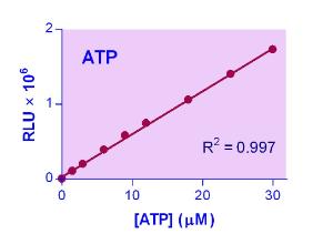 EnzyLight™ ATP Assay Kit, BioAssay Systems