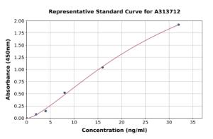 Representative standard curve for human GATA5 ELISA kit (A313712)