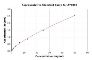 Representative standard curve for Human Calponin 2 ELISA kit (A77896)