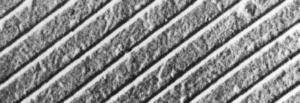 Grating Replicas: Parallel and Crossed Lines, Electron Microscopy Sciences
